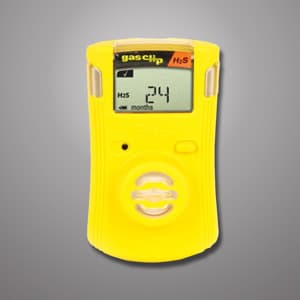 Gas Monitors