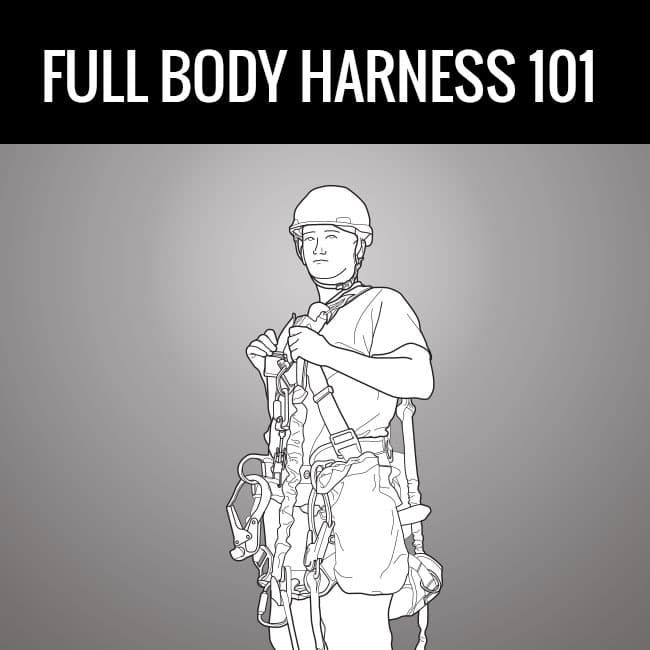 Full_Body_Harness_101_GME.jpg