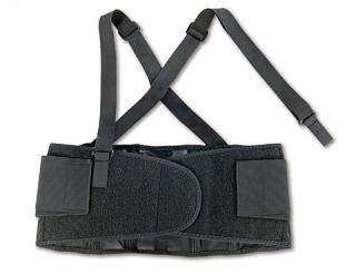 Ergodyne ProFlex 100 Economy Back Support