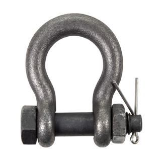 Chicago Hardware Self-Colored Bolt Type Shackle
