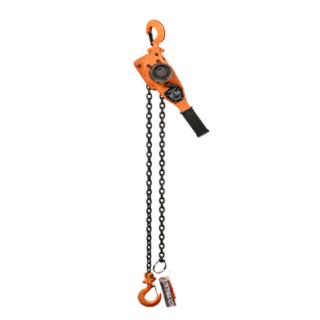 MAGNA Lifting Products 10 Foot Lever Hoist