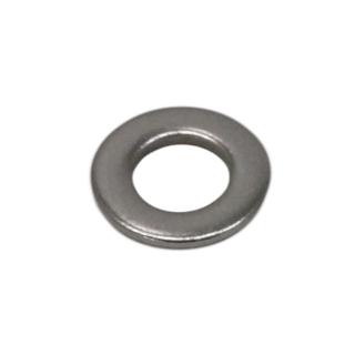 Miroc Stainless Steel Flat Washer (100 Pack)