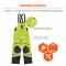Ergodyne GloWear 8928 Hi-Viz Class E Insulated Bibs