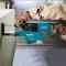 Makita 1 Inch AVT Rotary Hammer with HEPA Dust Extractor