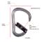 Petzl WILLIAM Asymmetrical Aluminum Carabiner