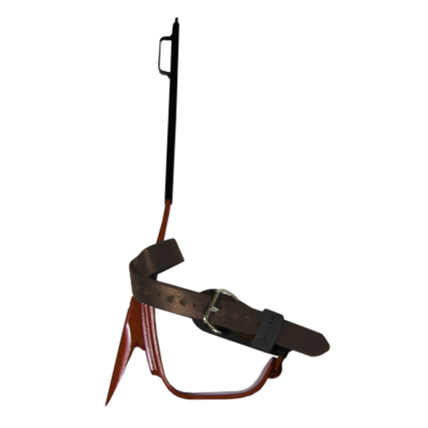Tree Climbers from Columbia Safety and Supply