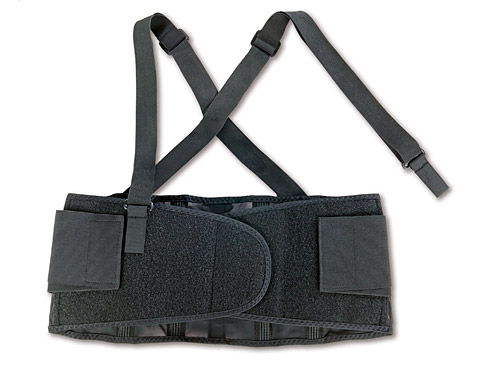 Ergodyne ProFlex 100 Economy Back Support from Columbia Safety