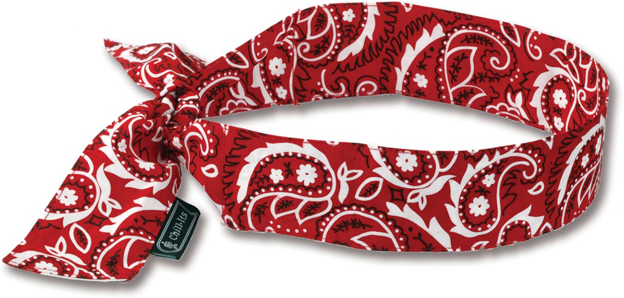 Ergodyne 6700 Chill-Its Evaporative Cooling Bandana with Polymers from Columbia Safety