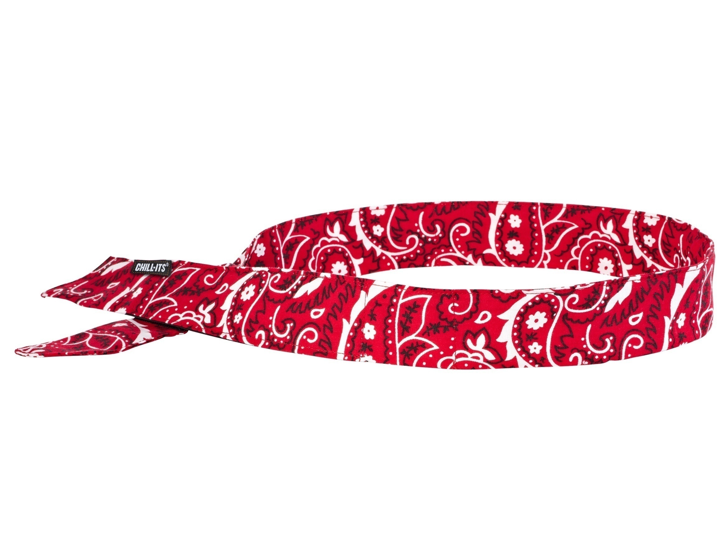 Ergodyne 6705 ChillIts Cooling Bandana w/ Polymers
