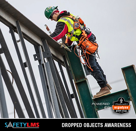 Safety LMS Dropped Objects Awareness Online Course (Powered by Ergodyne) from Columbia Safety
