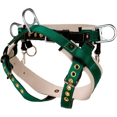 Buckingham Floating D Economy Harness from Columbia Safety